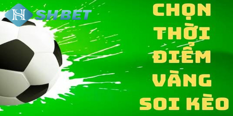 Banner www.vistec.com.vn