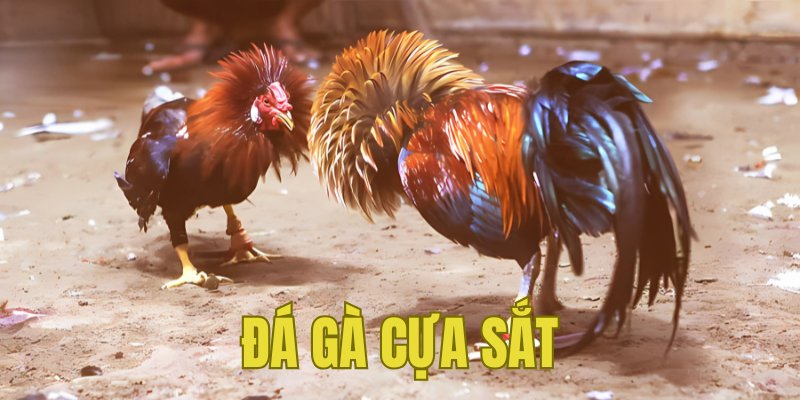 Banner www.vistec.com.vn