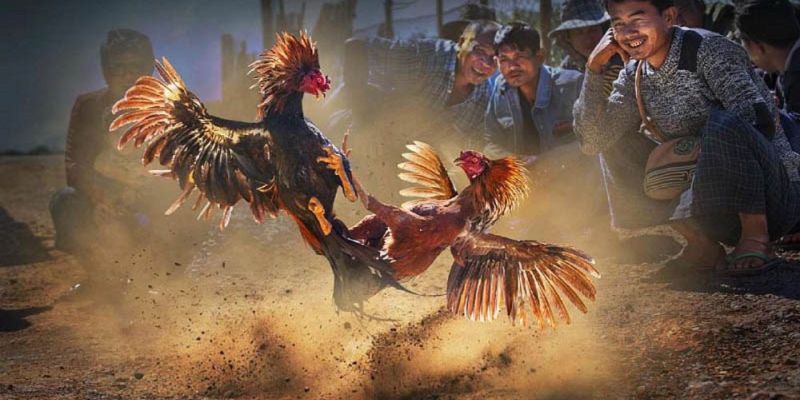 Banner www.vistec.com.vn