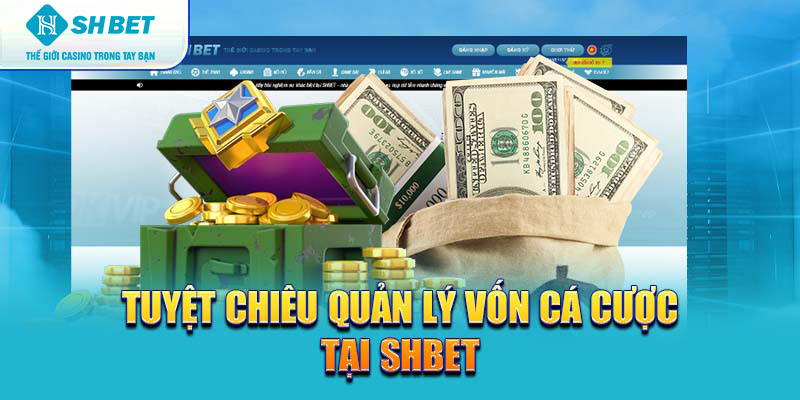 Banner www.vistec.com.vn